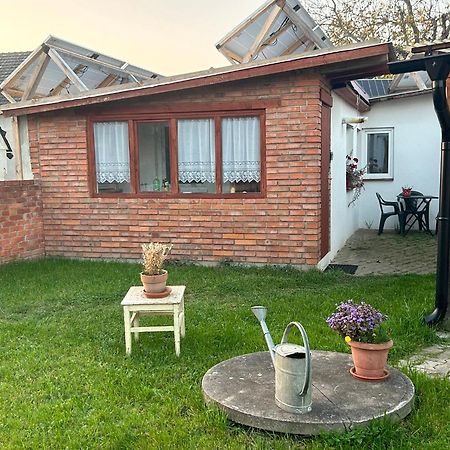 Guesthouse Trncin Mladá Boleslav Екстериор снимка